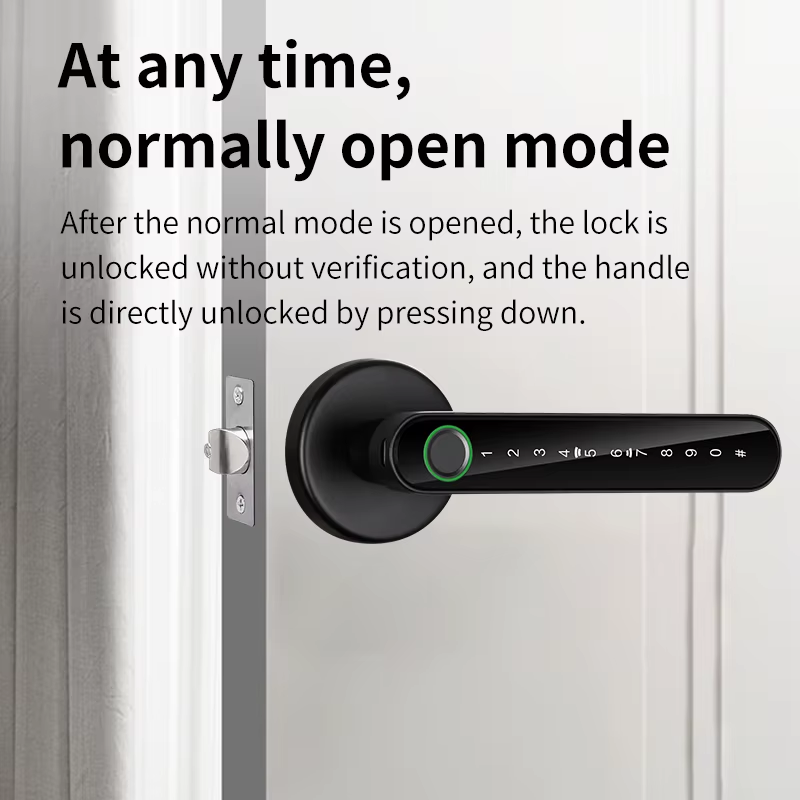 Fingerprint Door Lock Tuya Smart /Smart Life Electronic Door Lock with Fingerprint/Password/Key/Tuya App/Card Unlock